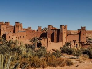 Exterior of old masonry buildings with square shaped windows near dry sandy terrain with growing palm trees and grass under blue sky