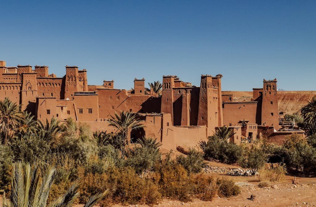 Exterior of old masonry buildings with square shaped windows near dry sandy terrain with growing palm trees and grass under blue sky