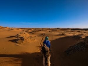 Man Wearing Blue Jacket Riding Camel Walking on Desert