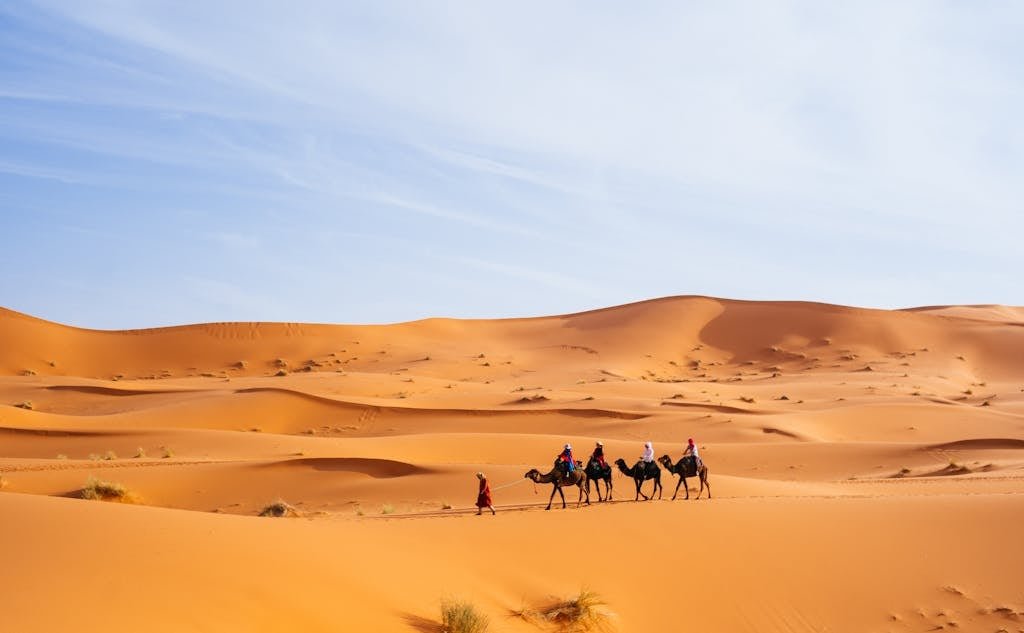 People Riding Camels in the Sahara Desert