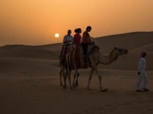 Photography of People Riding Camel during Sunset